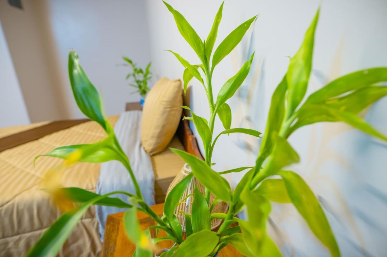 Tropical Villa סיאם ריפ מראה חיצוני תמונה